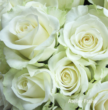 ウェディングの花①ブーケで人気のバラの品種をご紹介♪ | フラワー 