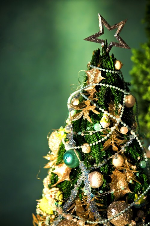 いつものクリスマスツリーがこんなに素敵に！飾り付け5つのポイント | フラワーエデュケーションジャパン