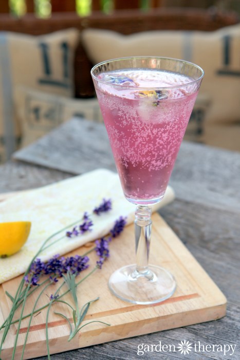 lavender-soda-recipe-made-with-beautiful-homemade-simple-syrup-a5