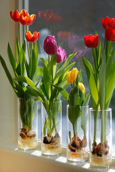 花の技術がなくても素敵に飾れる チューリップ４つのコツ フラワーエデュケーションジャパン