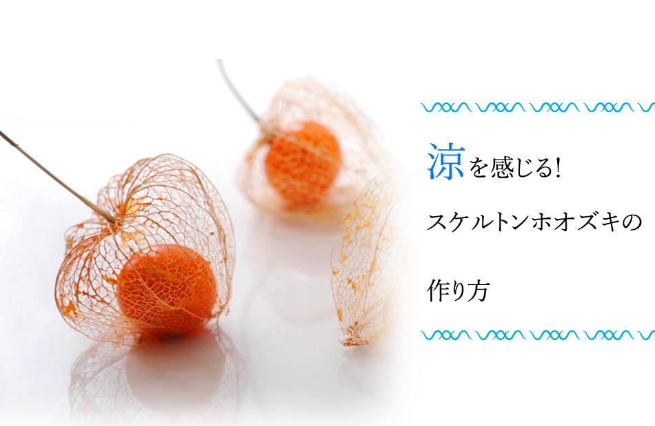 花の知識 涼を感じる スケルトン ホオズキの作り方 フラワーエデュケーションジャパン