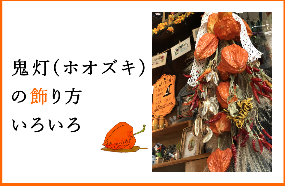 花の知識 ほおずき市とホオズキ 鬼灯 の飾り方いろいろ フラワーエデュケーションジャパン