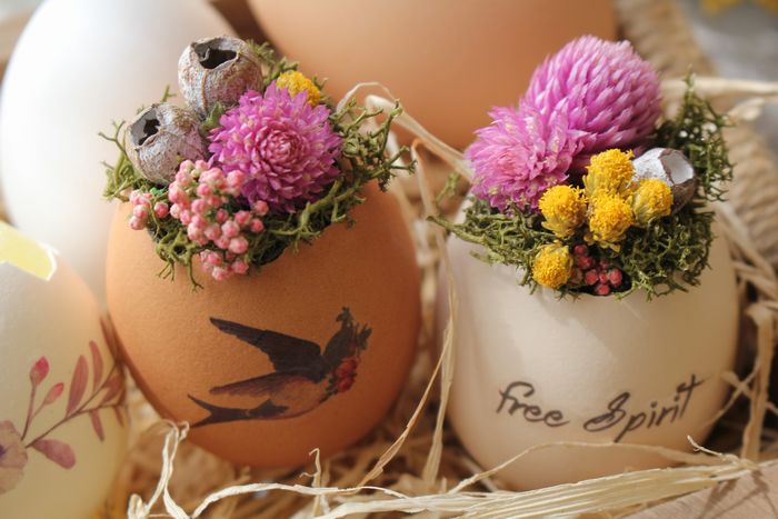 会員専用無料レシピ インスタ映えする可愛い イースターエッグ 本物の卵に 花 転写シール でお洒落に復活祭をお祝い フラワーエデュケーションジャパン