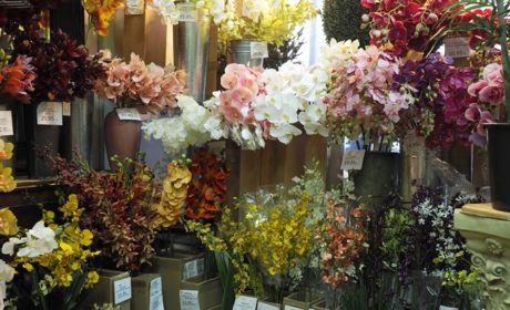 長野県 全国スクール紹介