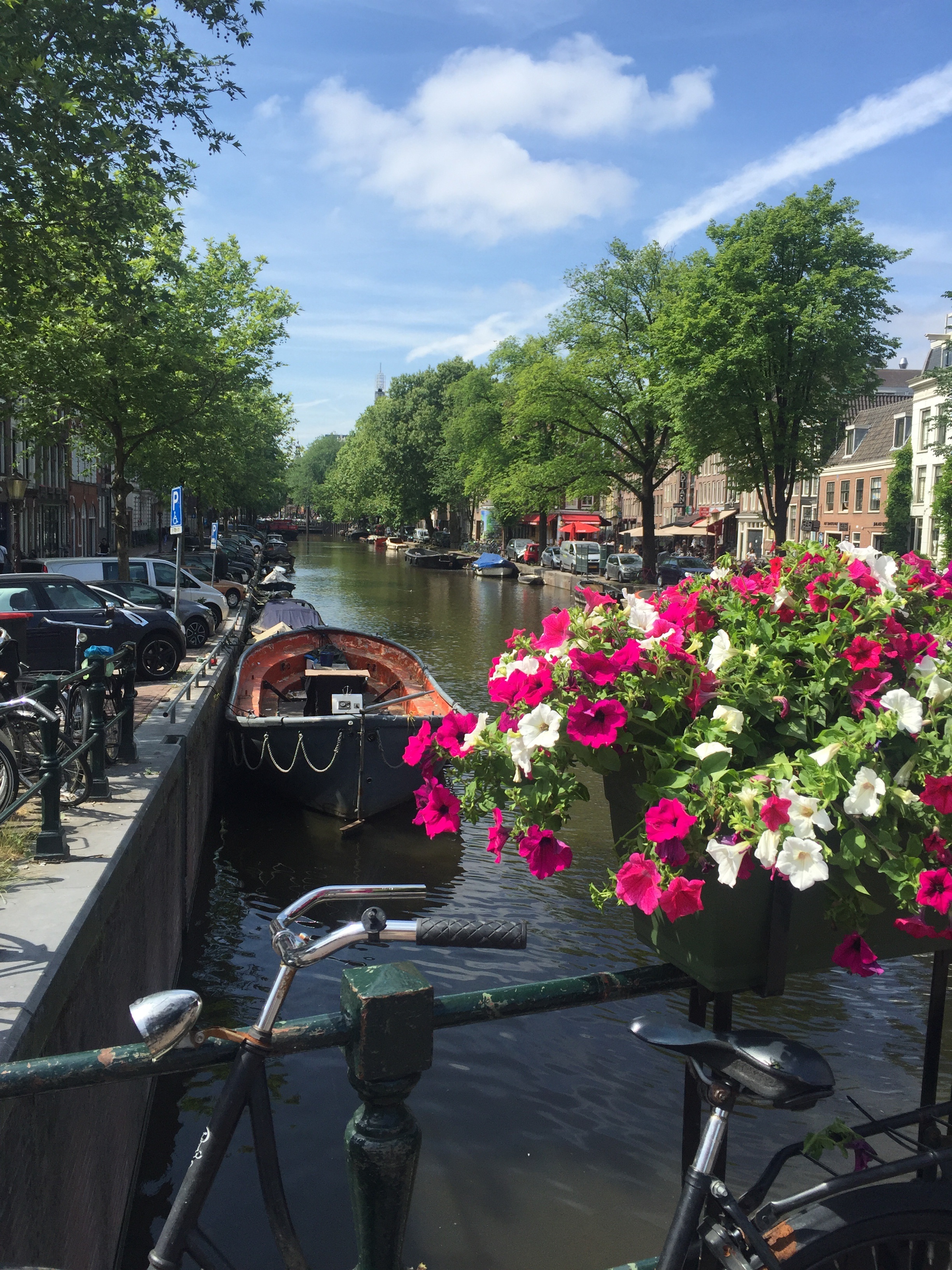運河に浮かぶオランダの花市場「シンゲルフラワーマーケット