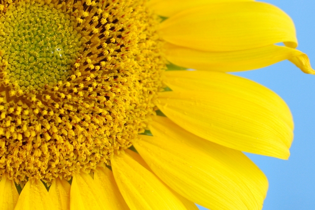 cdae20d51e03ff310a4c6176c03ea1