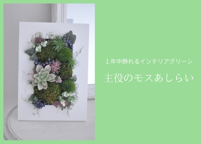 １年中飾れるインテリアグリーン 大人気のモス苔玉の作り方をご紹介 フラワーエデュケーションジャパン