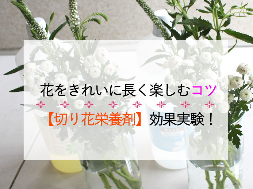 春の花束をきれいに長く楽しむコツ レッスンで使用する生花も 切り花栄養剤 で鮮度長持ち フラワーエデュケーションジャパン